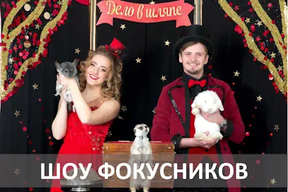 Шоу фокусников Дело в шляпе